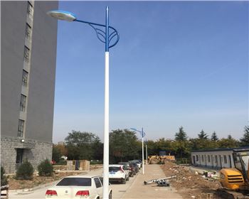 市電路燈-省西安市西北大學(xué)長(zhǎng)安校區(qū)路燈工程